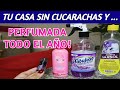 ✅ Tu casa LIMPIA, sin BICHITOS y con RICO OLOR SIEMPRE | Adiós CUCARACHAS con la  LAVANDA!