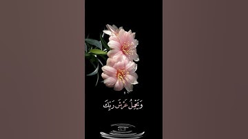 صباح الخير 🌸اجمل حالات واتس اب مقاطع قصيره 🌸 قران كريم سورة الحاقه والملك على أرجائها 🌸 بدون حقوق