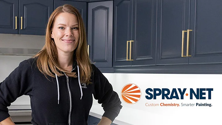Quick, Easy Kitchen Transformation with Spray-Net ...