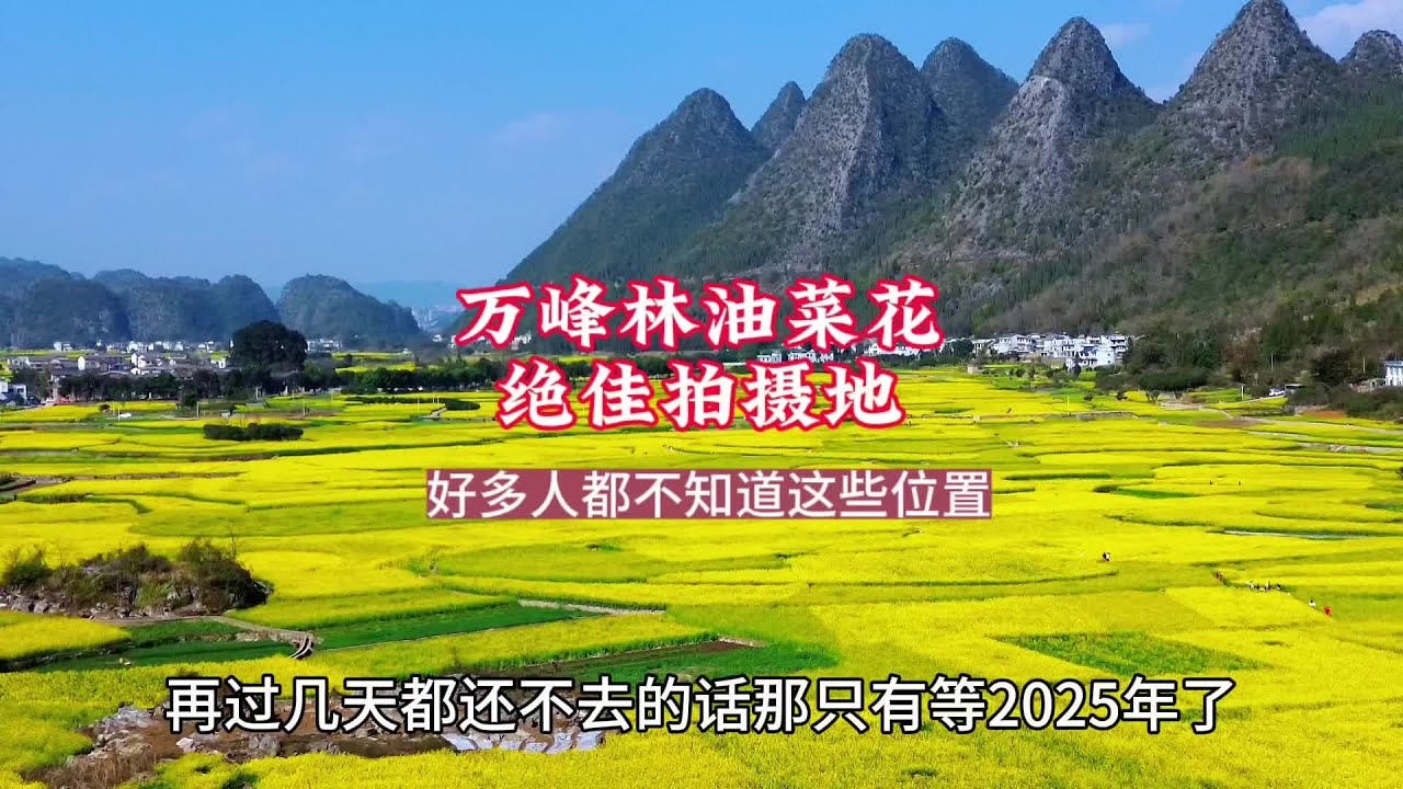 再不来万峰林看油菜花就只有等2025年了,我悄悄咪咪地告诉你几处容易出片的绝佳拍照位置!好多朋友都不知道这些地方!不信你看我视频就知道了#万峰 ...