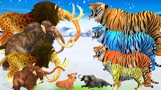 10 Zombie Tiger vs 10 Cow Buffalo Fight Cow Cartoon Rescue Saved By Monster Lion Mammoth Elephant