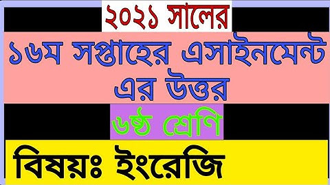 16th week assignment answer of class 6 || class  16th week english assignment