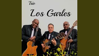Video thumbnail of "Trio Los Garles - Mosaico Homenaje Antares Corazón Loco / El Tiempo Que Te Quede Libre"