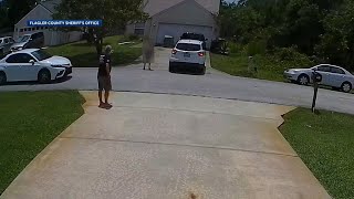 Florida man accused of pointing gun at woman's head for pulling into driveway