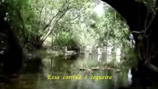 Video thumbnail of "Ricardo Ribeiro _ Agua Louca da Ribeira.wmv"