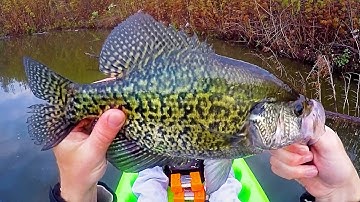 Beautiful Iowa Crappies -Fishing The Crappie Spawn