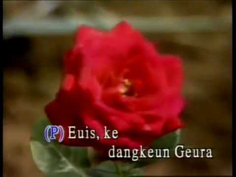 ANGGA PRAWIRA FT YANI PURBASARI - EUIS