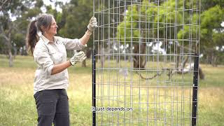 Tree guard Mallee Mesh cattle guards