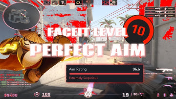 FACEIT LEVEL 10 PERFECT AIM
