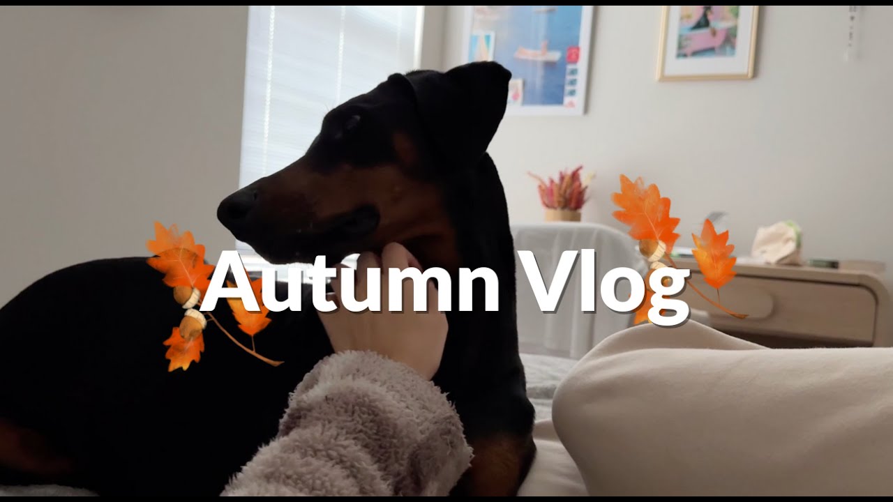 Autumn Vlog: Prince William Forest Park and Indy