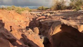 FLASH FLOOD in Arizona