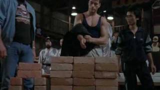 Bloodsport Scene Culte