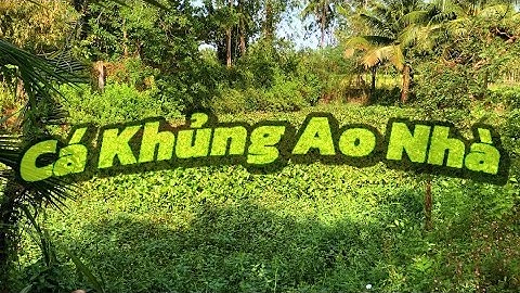 Super Big Fish/ Trúng Lớn Mẻ Cá Sau Hai Ngày Đặt Lợp - Du KLD