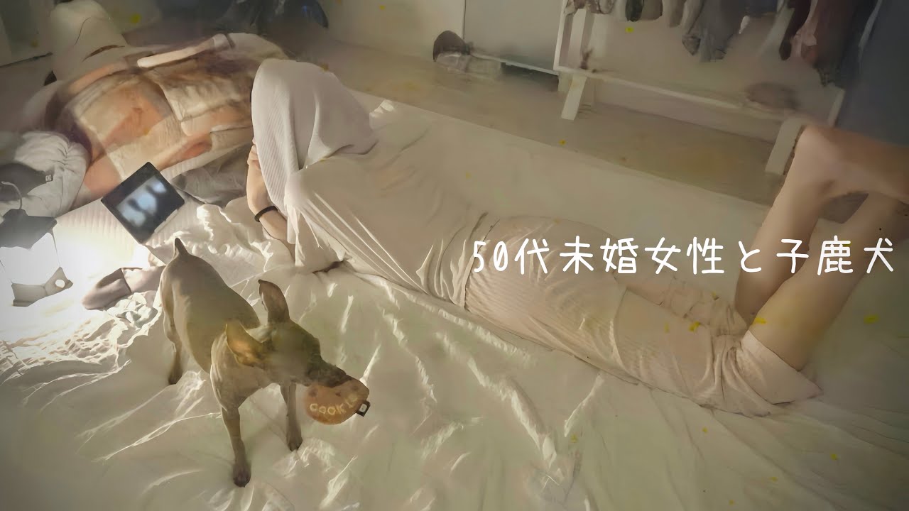 50代、未婚、子なし。冷たい雨の夜の終わり息子とふたり言葉のない心地いい時間を満喫する初秋の週末【ミニピン】