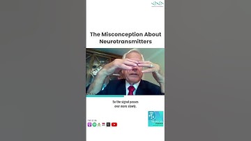The Misconception About Neurotransmitters