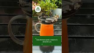 No Riegues Tus Plantas Solo Con Agua