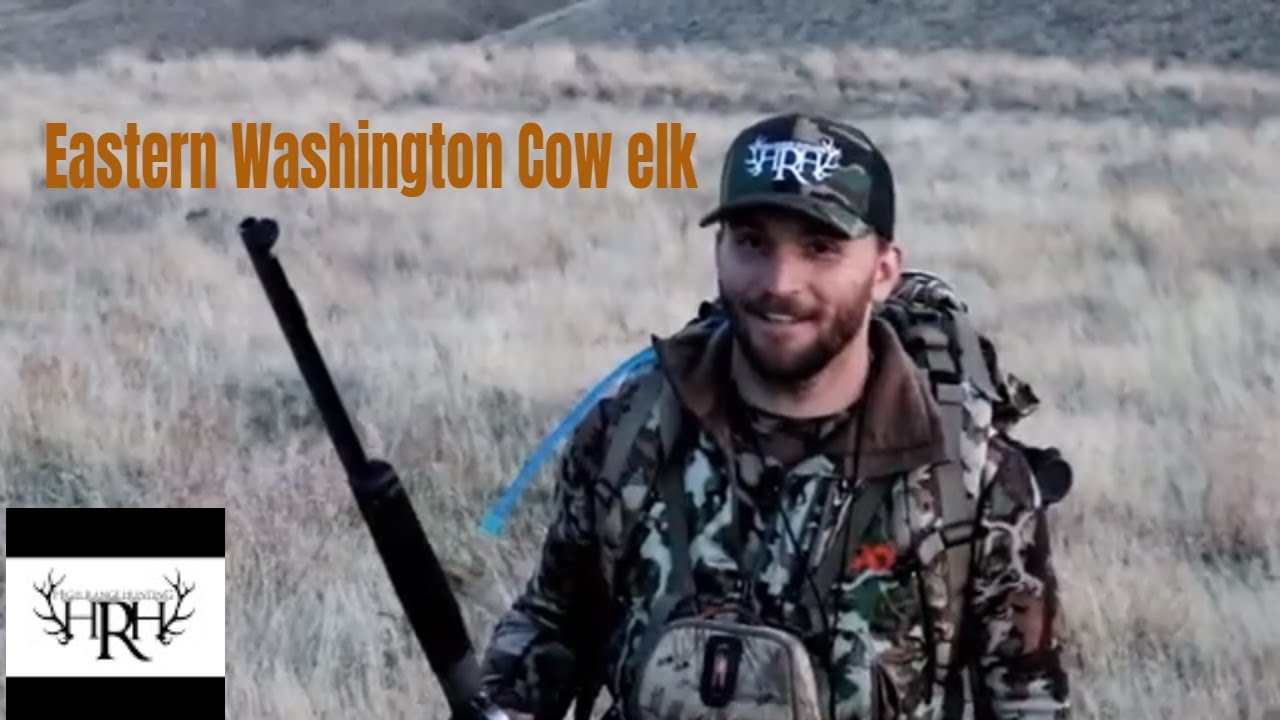 2019 Eastern Washington Cow Elk Hunt Muzzleloader season YouTube