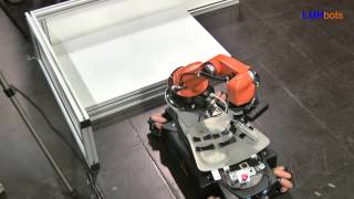 Final LUHbots
