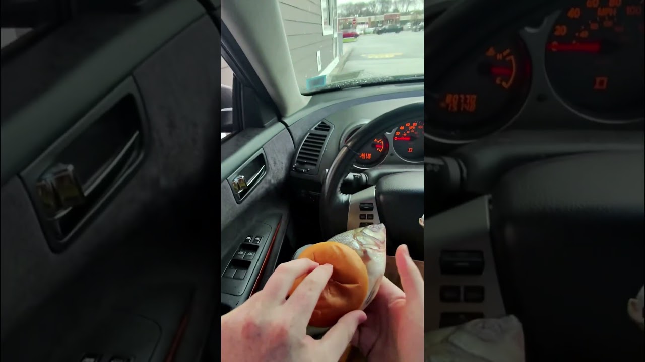 lol what the heck was that 😂❤️