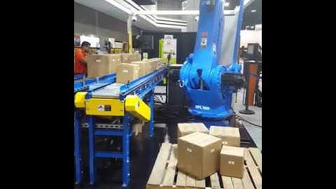 DPPS Robotic Random Depalletizing with 3D Vision