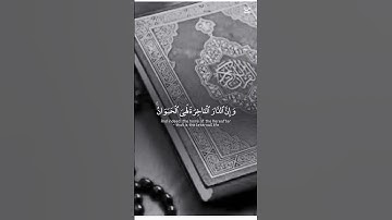تلاوة هادئة لياسر الدوسري #yasseraldossary #اكسبلور #الرحمن #دويتو #المصحف #حالات_واتس #القران
