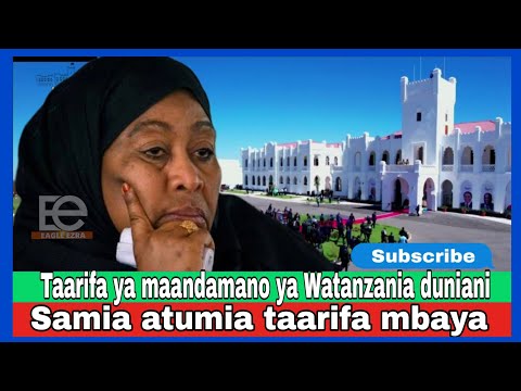 Samia Is Unable To Breathe At The Palace New Protests By Tanzanians Around The World To Remove H