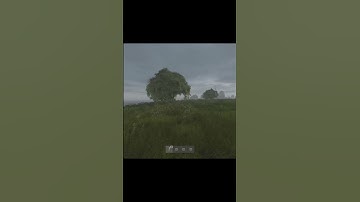 The BEST Grenade Prank in DAYZ #Shorts