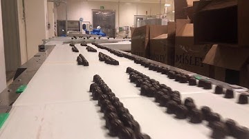 Makrev Automation System With Plate Aligner