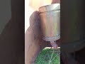 коптим вкусняшку