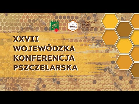 Wideo: Jak rosyjska szlachta miała obsesję na punkcie gry w karty