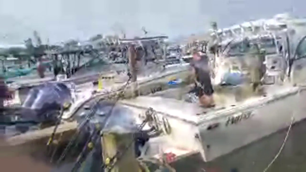 weather forecasting tools Shark fishing