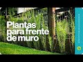 PLANTAS para FRENTE de MURO