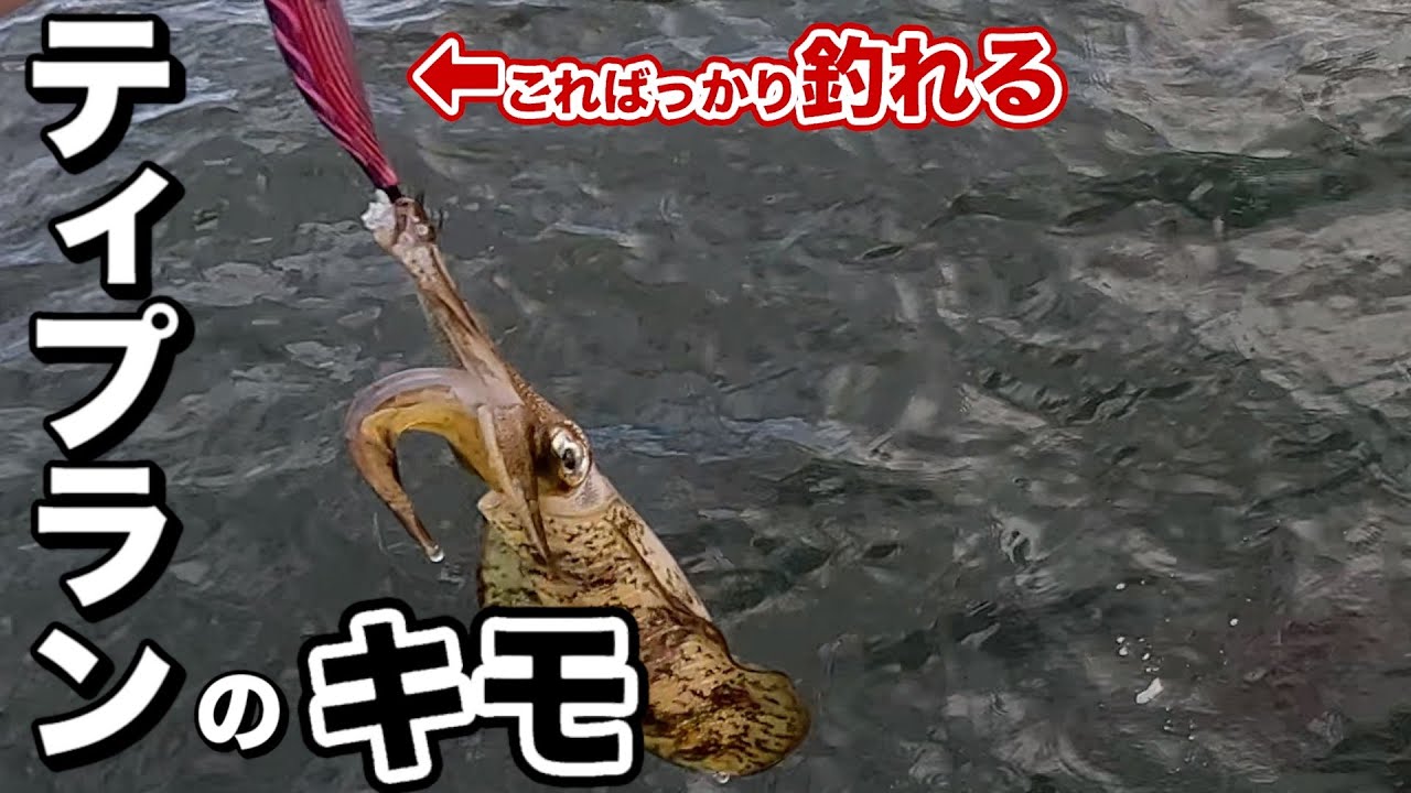 【篠島ティップラン】ティップランのキモ！これさえ出来れば簡単に釣れます