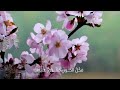 تفاءل ولاتقنط شعر رشيد العطران ـــــ سلمان النجار