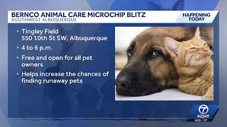 Bernalillo County hosting free microchip event for pets