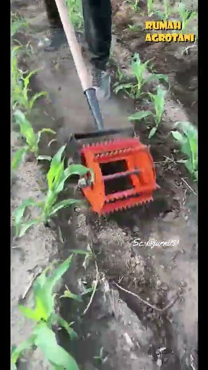 This tool is very effective in controlling weeds in corn fields.