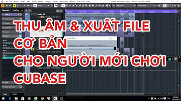 HƯỚNG DẪN THU ÂM VÀ XUẤT FILE TRONG CUBASE CƠ BẢN CHO NGƯỜI MỚI CHƠI