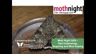 National Moth Night 2020 - how to attract moths using wine ropes and sugaring