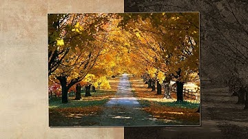 Đợi em phía cuối con đường - Đặng Minh Tuấn