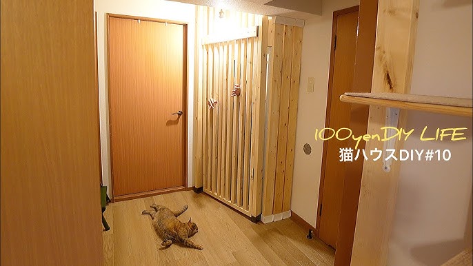 肩こり防止 猫餌土台をdiy 賃貸の部屋で猫ハウスdiy 15 Youtube 肩こり防止 猫餌土台をdiy 賃貸の部屋で猫ハウスdiy 15 Youtube