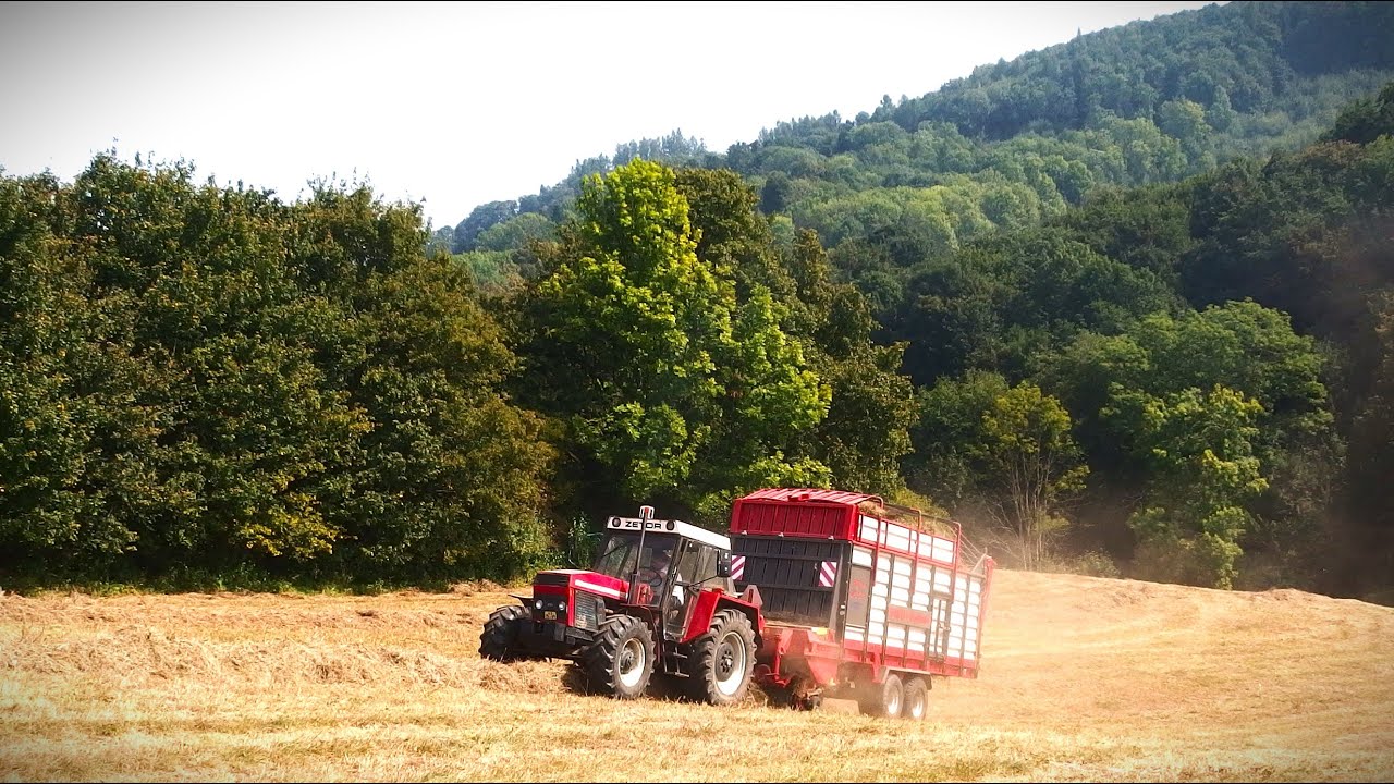 Sběr sena 2024 - Zetor 12145 & BISO Keibel  //  HD