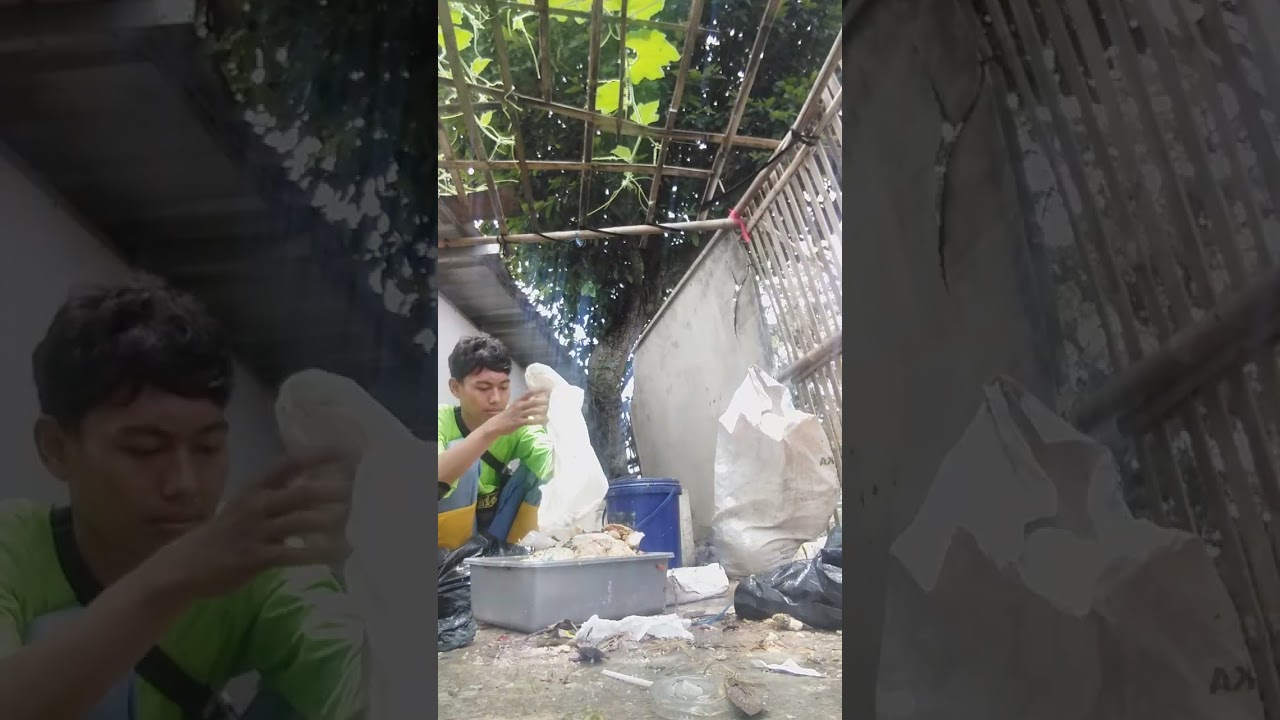 🔴PROSES PEMILAHAN SAMPAH ORGANIK  KE EMBER 💥KANG STORY