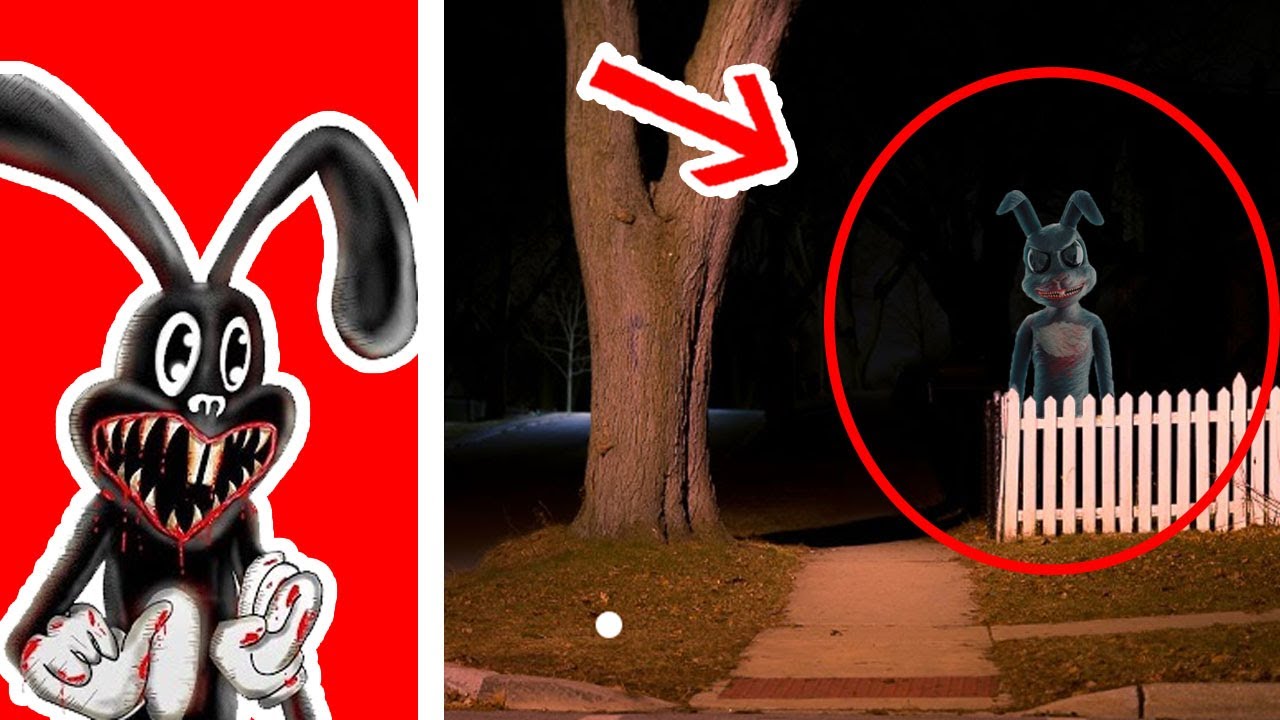 6 CARTOON RABBIT Reales Captados en Camara - YouTube