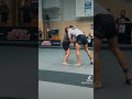 Adcc zadar jan gregori 94kg lutador de elite koper bjj