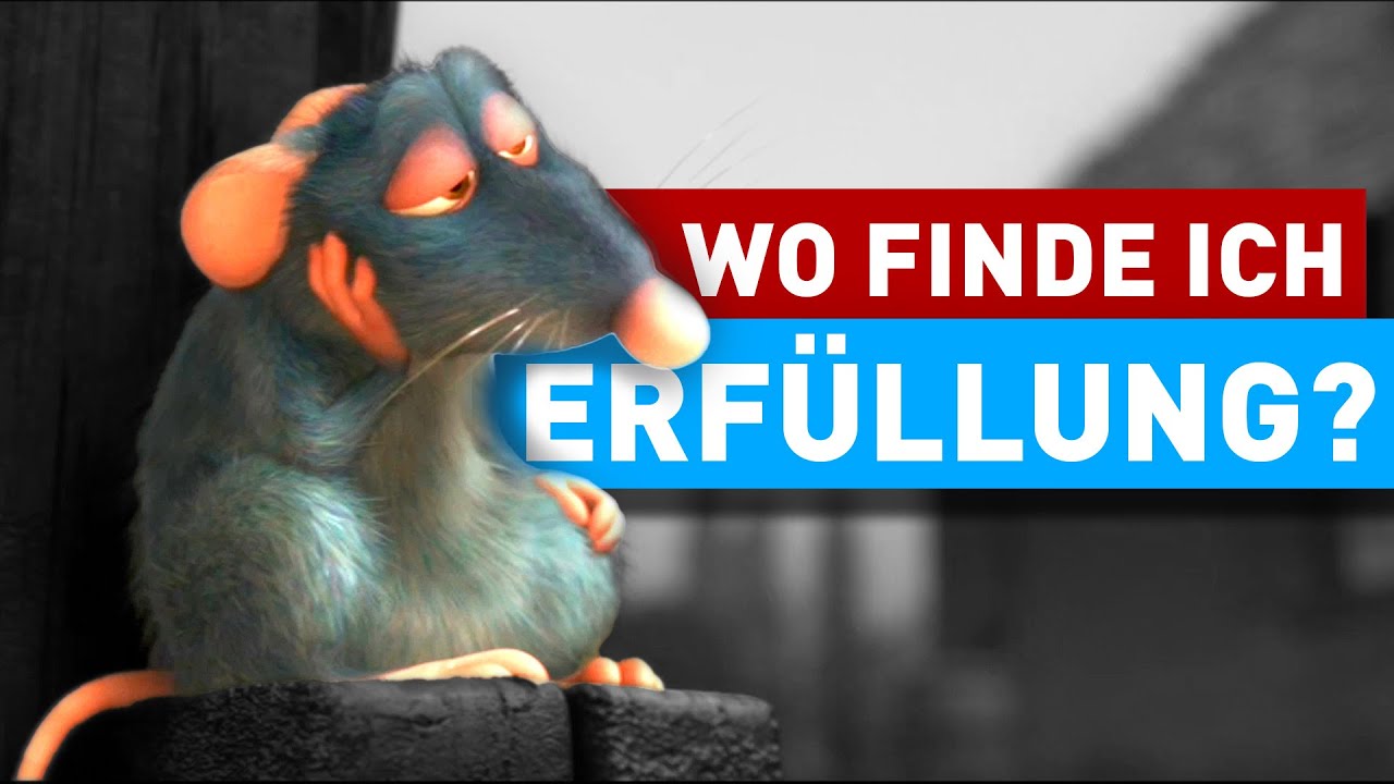 Was ist Erfüllung und wo kann ich sie kaufen? | RATATOUILLE | Film-Analyse