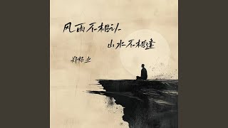风雨不相认山水不相逢 (Dj阿能版伴奏)