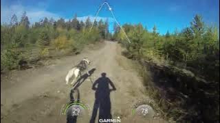 ЧСПб2022_старт