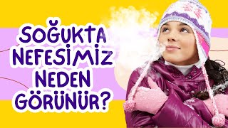 Soğukta Nefesimiz Neden Görünür? Çocuklara Göre Cevaplar Basit Anlatım