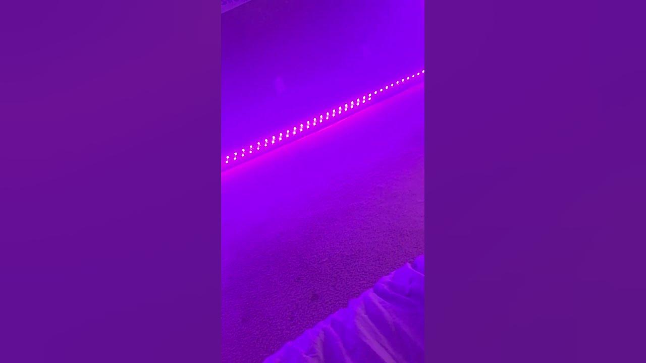 led lights YouTube