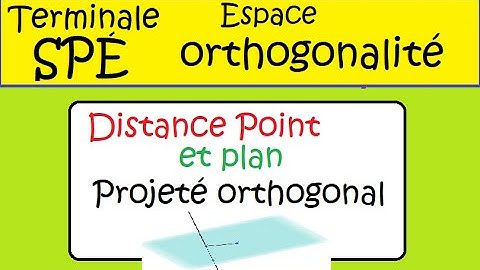 Terminale Spé Maths  Espace distance point à un plan   Cours Exemple